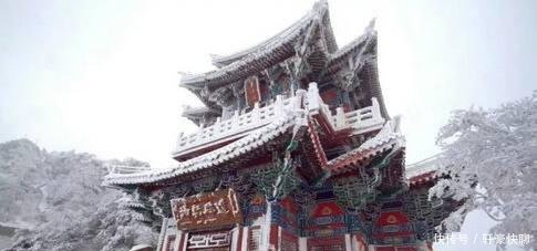 河南大范围的降雪已经到了, 小雪、中雪、大雪, 喜欢的赶紧来吧