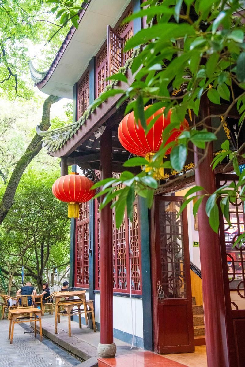 去成都旅行为什么一定要去茶馆喝盖茶?游客:来了不想走!