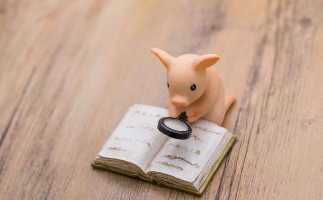 猪年说猪，农民养的猪大部分是外来品种，来认识一下中国土著猪