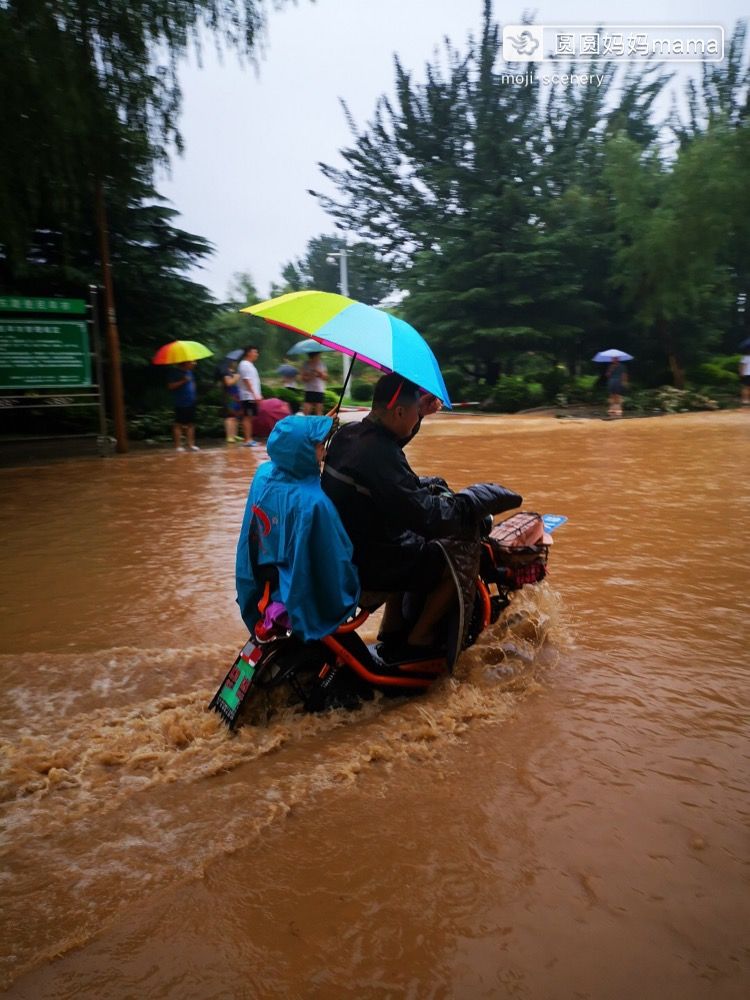 超强台风“利奇马”登陆 山东多地强风暴雨|组图