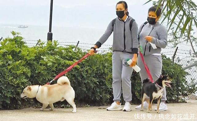 关之琳:关之琳回应与光头大叔绯闻,意外曝光与刘德华仍有交集