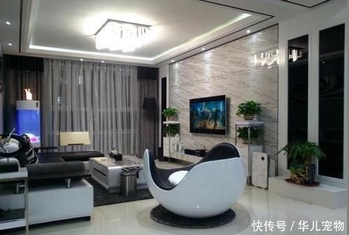 #值钱#院子里,若是见到1种“虎耳草”,要保护它,比岩黄连值钱