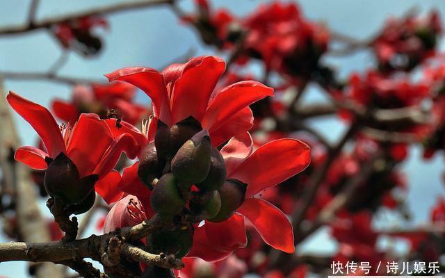  #唯一#中国唯一以花名命名的城市，地处两省交界，你一定知道！