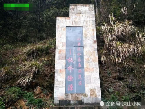 徐源：大山里的村子，却因为鱼声名远播