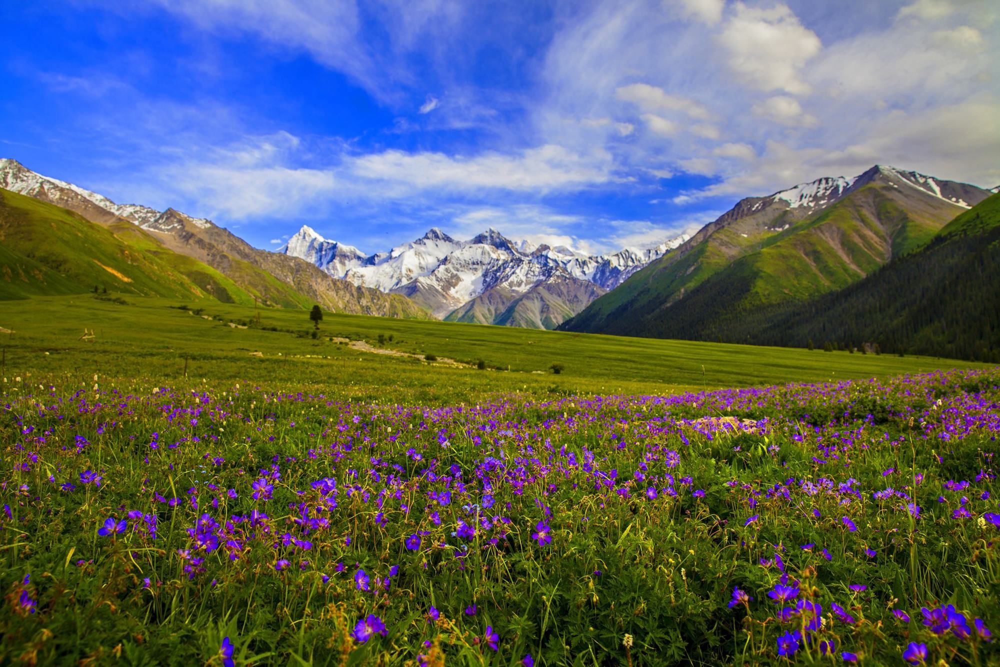 新疆唯一没有荒漠的县 被称为中国天马之乡 风景优美 却少有人知