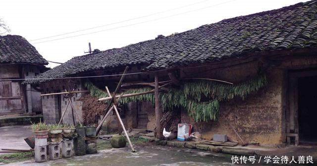 子女不是农村户口，能继承上一辈的宅基地吗