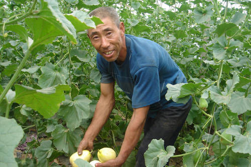  「留守」适合农村“留守人口”的4个工作，别觉得不起眼，一天挣