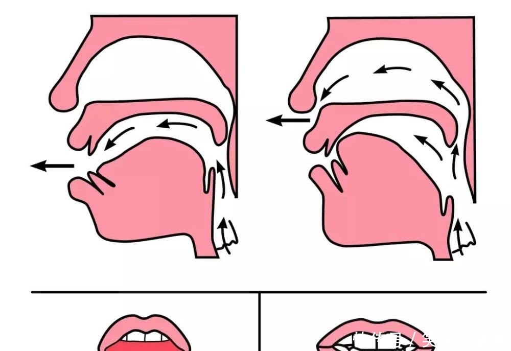 一年级声母韵母正确发音和前后鼻音发音