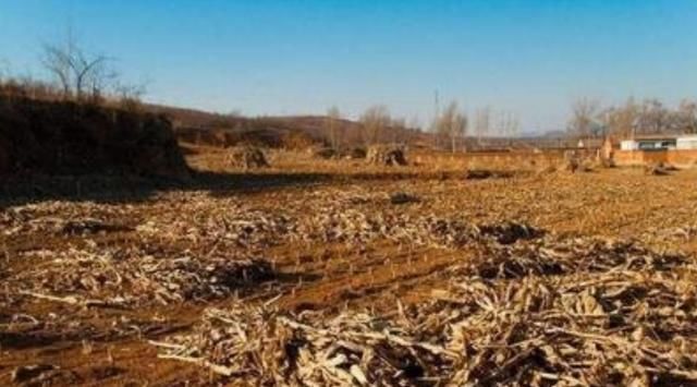  [农民]农村土地法：这2类房屋禁止翻建，农民要知道！