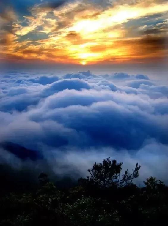 距温州2h的处女小县城，集全了浙江所有令人意外的美景，鲜为人知