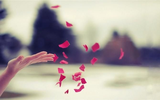 自考文凭有用吗,工作单位认可吗?