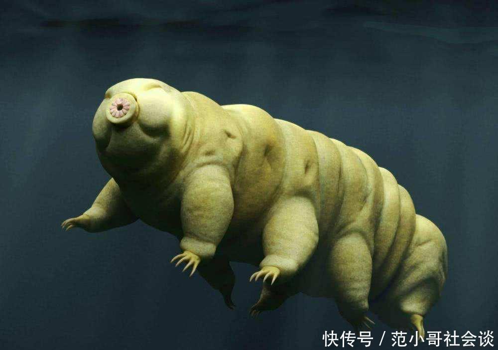 以色列的一次失误,让第一个星际物种诞生,真空