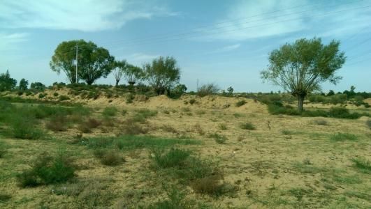 沙特600亿的高铁订单，只有中国敢接手，还有一项关键技术需引进