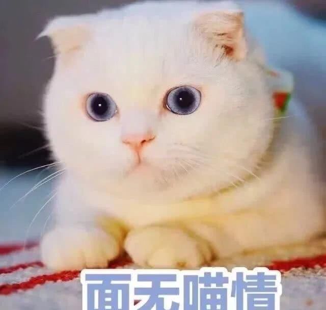  「黑眼圈」为什么花了2W护肤，黑眼圈、眼纹还是藏不住？