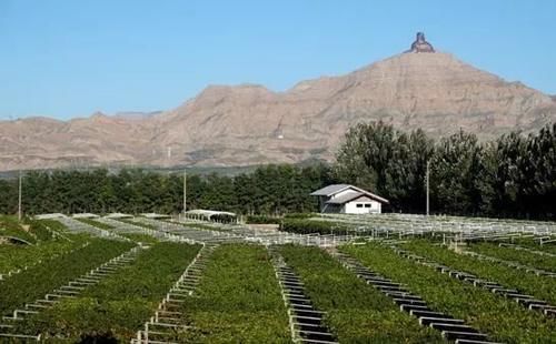 畅游中国·内蒙古之山海沙城乌海