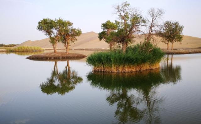 中国最小的村庄,仅20户人家居住,被称为沙漠中的“世外桃源”