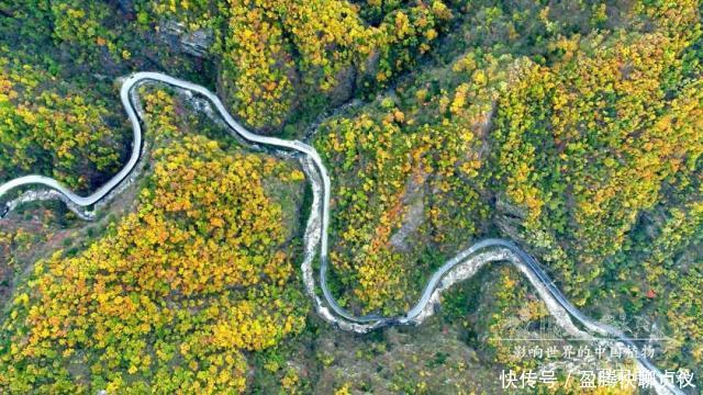 这部纪录片央视发力了,每一帧都可以当壁纸,BBC也无法超越