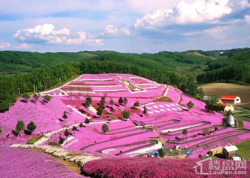 沿海高速通车后,台州这些地方房价或将改变巨