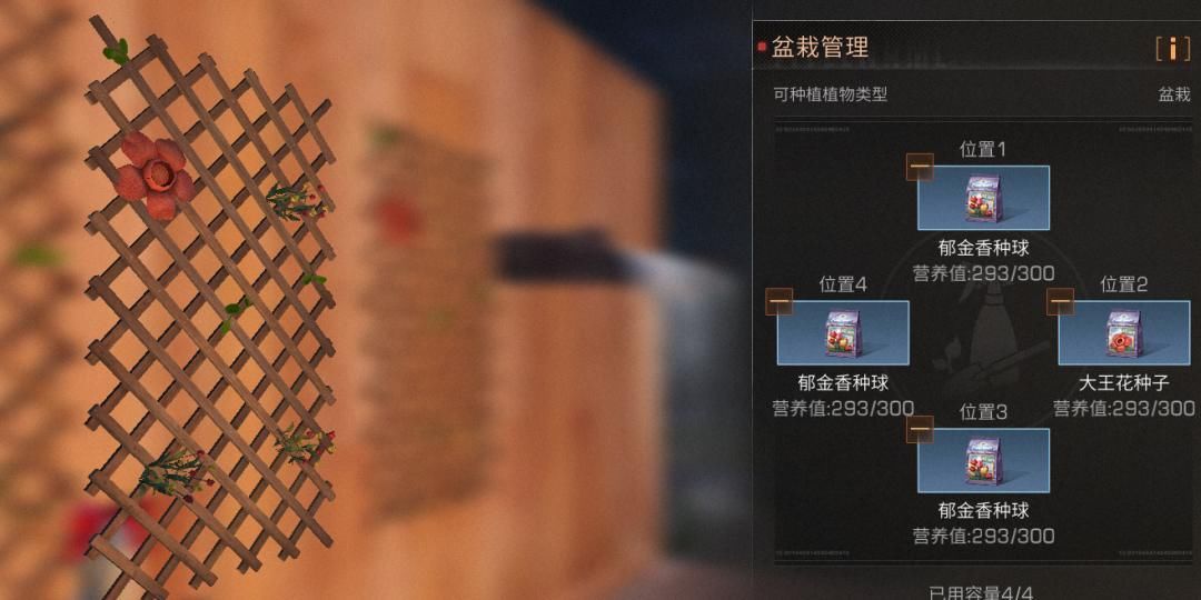  『幸存者们』明日之后：室内植物“长寿”，原来要靠这几步！