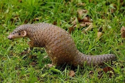 帮你避坑!无 P 无滤镜、各种身材试穿网红新衣,结果......丨推荐