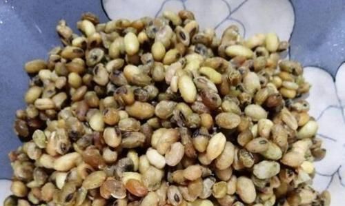  身体■3种抗病菌菜，种几盆，绿色又健康，多吃点，1家“老少”身体好
