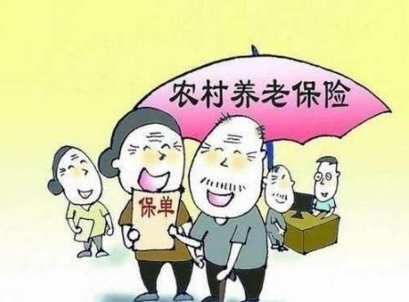  养老保险金：我是一个农民，今年五十岁了，想一次性把养老保险