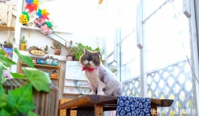  #喜欢#一粥一饭填饱肚子，一屋一花神仙日子！生命不止，玩趣不停！