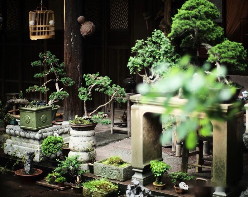  #中国#中国庭院，最是奢侈。