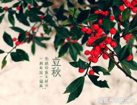 19年立秋时间，立秋节气后还热吗？老农：农村这句俗语给出答案！