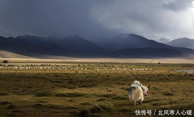 川藏线出行完整攻略：这样走减少高反，美景还一个不落下