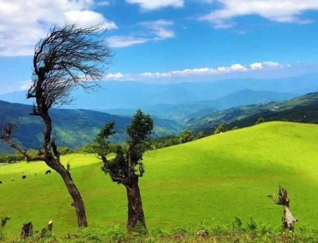 4个小众旅行景点,各个山清水秀,你去过几个?【2020热门旅游景点】