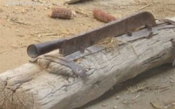 原来基本家家户户都有，现在即将绝迹的老物件，见过吗？