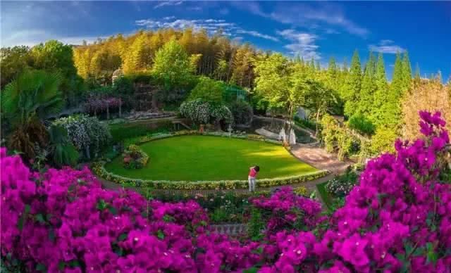 66岁大叔,8年时间打造出了中国最美私家花园,让人叹为观止!