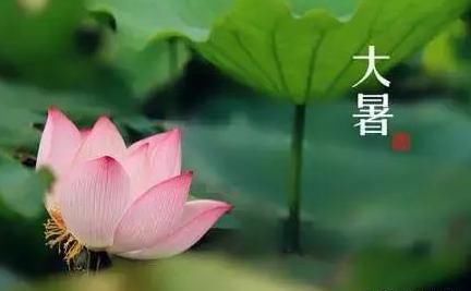 大暑节气将至，大暑是啥意思，很热吗？大暑三候指什么？