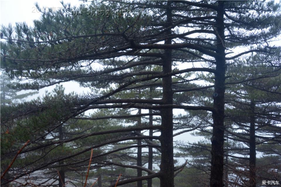 2019春节自驾 游黄山