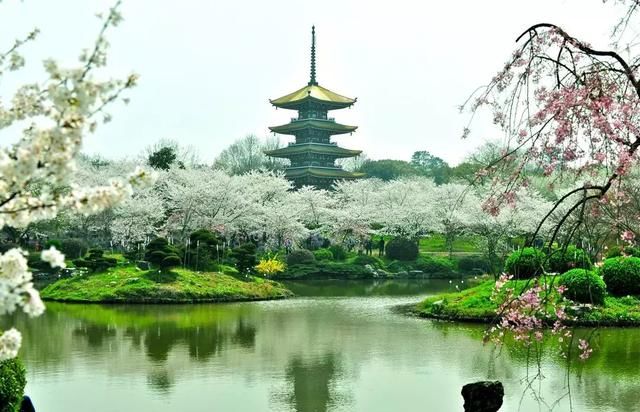 去年城市十大排名！杭州榜上有名