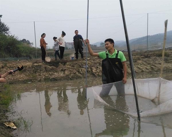 农村小伙卖泥鳅年入6000万,搞定丈母娘抱得美人归~泥鳅哥！