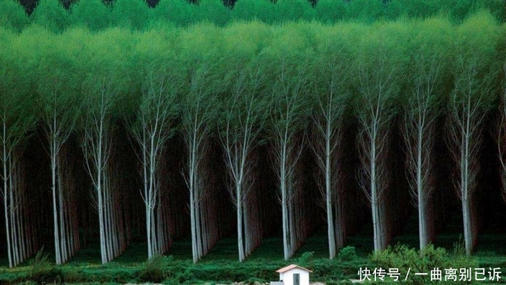 强迫症都挑不出毛病的26张照片 展现了真正的完美