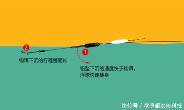  试试：钓鱼必杀技：久坐无鱼咬钩，试试这些狠招数，咬钩量翻几倍！