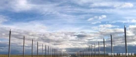 青藏线上的那些杆子是护栏还是另有作用，你知道是干嘛的吗？