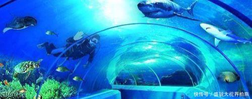 山东最宜居的城市, 人均GDP超10万, 有望竞争新一线城市