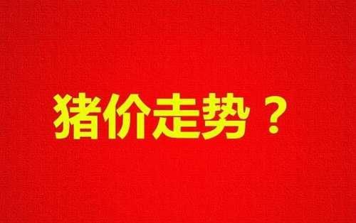 明日猪价5-6号猪价一览表，生猪调运引起猪价上涨？