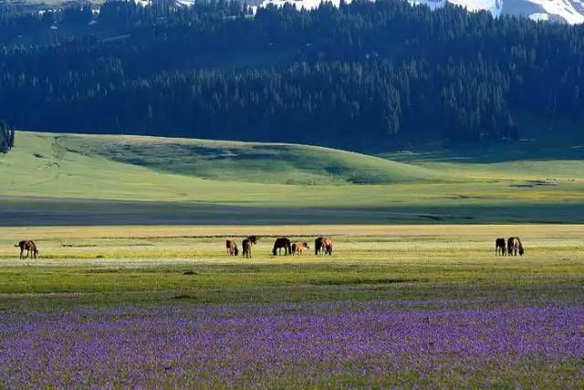 中国最美的30个地方（完整版）终于找齐了！第一居然是…