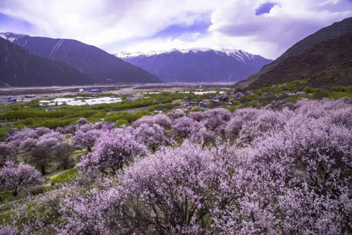 世外桃源般的旷世美景，藏着中国最美的春天