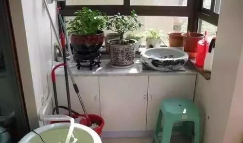  「人喜欢养」在阳台上砌一个鱼池，可拉风了，让外人一看就觉得你是个土豪！