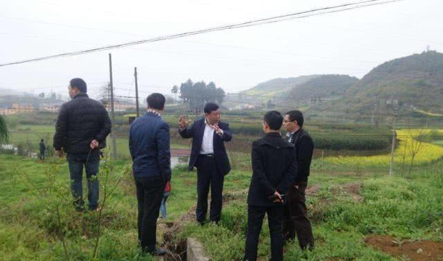 国家发改委“打脸”专家？土地改革迎来新突破，农民拍手称赞