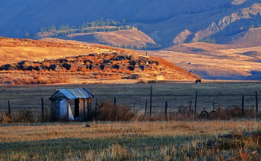 九月的新疆逼疯摄影师，勾走了你的魂