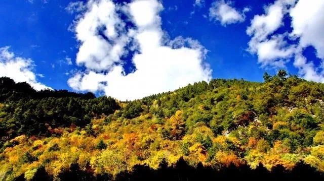 彩林之秋毕棚沟 | 赏秋要趁早!9月份就可以来这里赏红叶彩林了