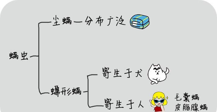  「牙膏」满脸的痘痘粉刺不敢见人? 牙膏跟“它”混合涂一下, 既除螨又祛痘