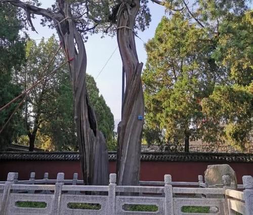 泰山脚下的千年寺庙,与故宫齐名,历代帝王封禅之地